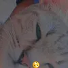 Nadia Ansar - @_nadia_127 - TikTok