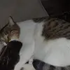 Nadia Armstrong - @nadia.armstrong5 - TikTok