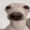 nadia.armstrong14fp - @nadia.armstrong14fp - TikTok
