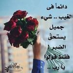Nadia Ashour - @nadia.ashour8 - Instagram