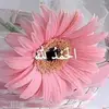 Nadia Ashour - @nadia.ashour1 - TikTok