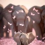 Nadia Barron - Facebook