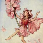 Nadia Barron - Facebook