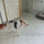 Nadia Barron - Facebook
