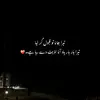 Ali - @nadiabasharat148 - TikTok