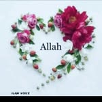 Ali - @nadiabasharat205 - Instagram