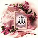 nadia_bashir - @nadia_bashir - Instagram