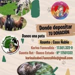 🐾Nadia Benavides y Karina fuenzalida 🐾 - @vet_sinfronteras_chile - Instagram
