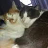 Nadia - @nadiabender80 - TikTok