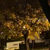 Nadia Nadiszka - @nadia.benderowicz - TikTok