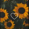 Nadia beukes🌻 - @nadiabuekes - TikTok