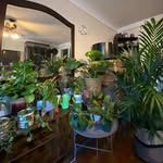 Nadia Blackmon - @houseplantmonologues - Instagram