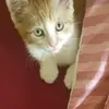 Nadia - @nadia.blumen05 - TikTok