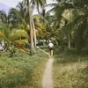 Nadia Bollinger - @nadiabollinger - TikTok