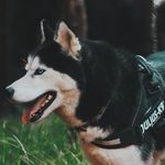 Nadia Botello - @nadia.botello.902 - Instagram