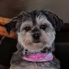 Nadia Bouchard935 - @didiabou - TikTok