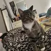 nadiabouchard183 - @nadiabouchard183 - TikTok