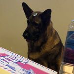 Nadia01 - @nadia_bournemouthgirl - Instagram