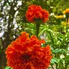 nadiabourne901 - @nadiabourne901 - TikTok