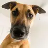 Nadya Bower - @nadya.bower - TikTok