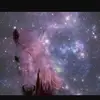nadia brayy - @nadia.brayy - TikTok