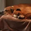 nadiabrewer8788 - @nadiabrewer8788 - TikTok