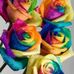 Nadia Buschini - Facebook