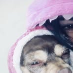 Nadia Chavez - Facebook