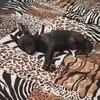 nadiachavez - @nadiachavez1011 - TikTok