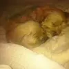 Nadine Cochran - @nadine.cochran - TikTok