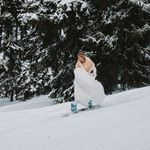 Nadia Cook - @jansencook - Instagram