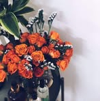 Nadia Dar - Facebook