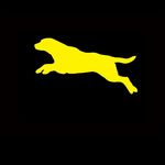 Nadia Douglas - @yellow_dog_photography - Instagram