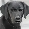 Nadiya Dunlap - @nadiya.dunlap82 - TikTok
