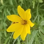 Nadia Dunn - @nature._.at_its_best - Instagram