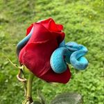 Nadia Dyer - @nadiadyer9177 - Instagram