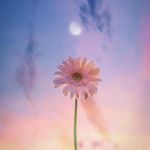 Nadia Ehsan - @nadiaehsan7 - Instagram