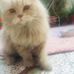 Nadia Ehtesham - Facebook