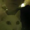 erdmannnadia - @erdmannnadia - TikTok