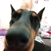 nadia.ewing3 - @nadia.ewing3 - TikTok