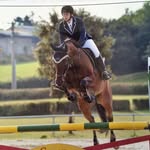 Nadine Goldstein Elfering - @goldsteinelfering - Instagram