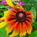 Nadia Grady - Facebook