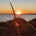 Nadia Grady - Facebook