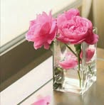 Nadia Haider - Facebook