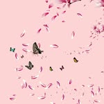 Nadia haider - @nadiahaider64 - Instagram