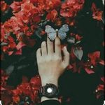 Nadia hamidi - @nadiahamidi4 - Instagram