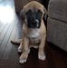Nadia Hamilton - Facebook