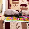 Hamza ♡nadia - @hamza.nadia4 - TikTok