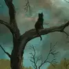 ★NADIA HAMZA ★ - @nadia.hamza54 - TikTok