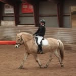 Nadia hansen - @hansen.equestrian - Instagram